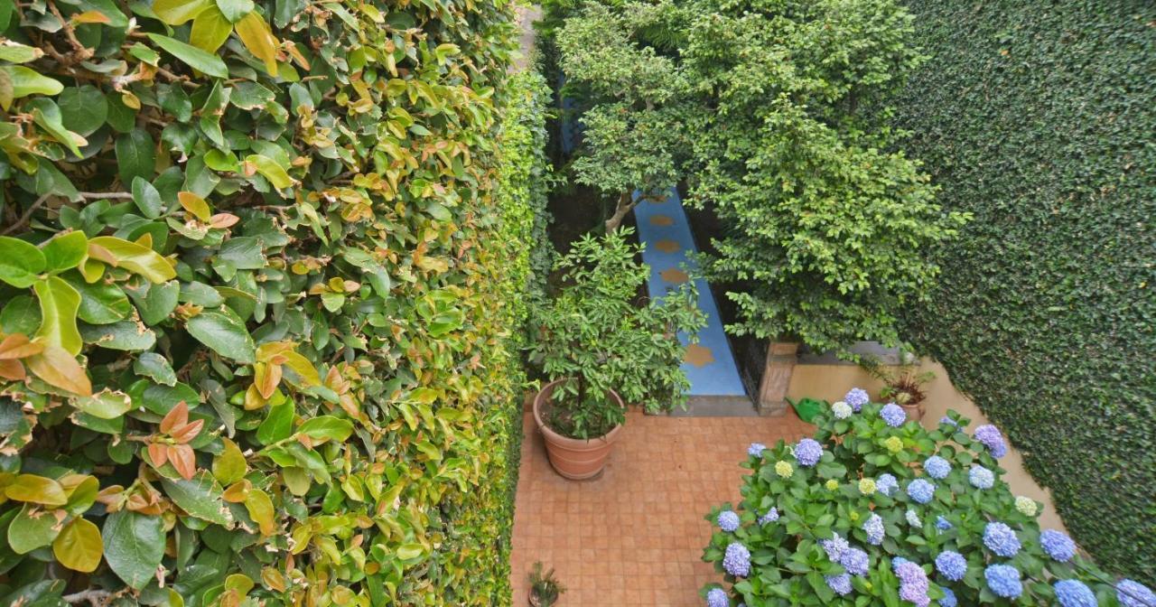 B&B Di Charme Camelie Palazzo Nicotra Riposto Kültér fotó